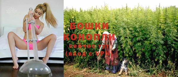 молекула духа Арсеньев