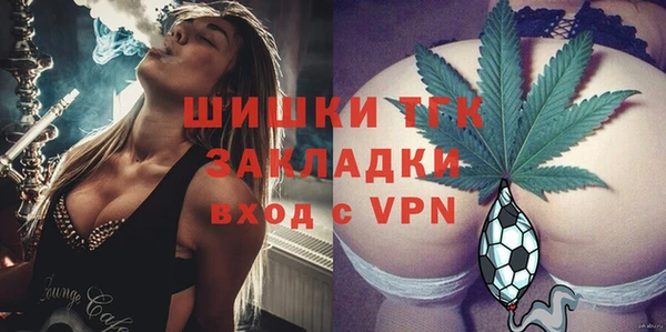 тгк Алзамай
