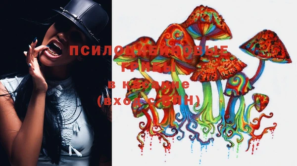 тгк Алзамай